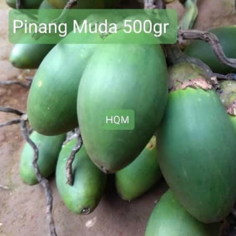 

>XG34448< (READY) Buah Pinang Muda Jambe - Pinang Muda Fresh 500gr