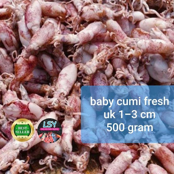 

❀ ikan asin baby cumi / cumi rebus 78 berat 500gram ➨