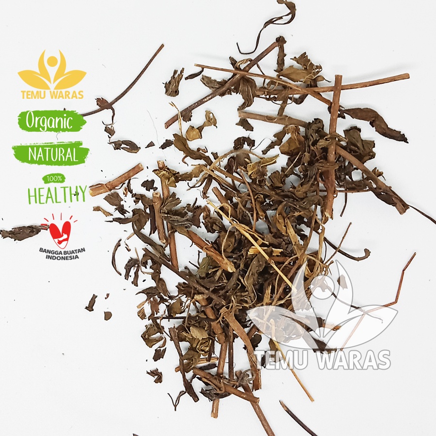Kumis Kucing Kering 100gr Asli Hutan