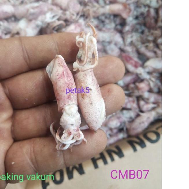 

◘ Cumi asin beby 1kg/ cumi asin baby/cumi asin rebus/cumi asin kecil ←