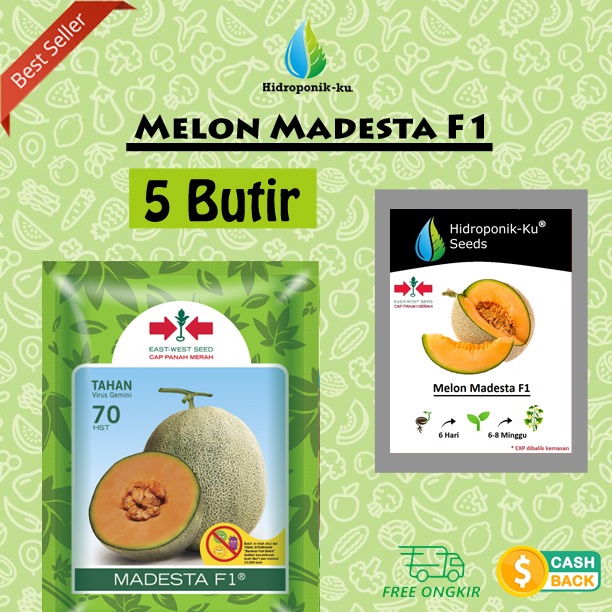 Bibit / Benih Melon Madesta (5 Butir) Cap Panah Merah - Hidroponik ku