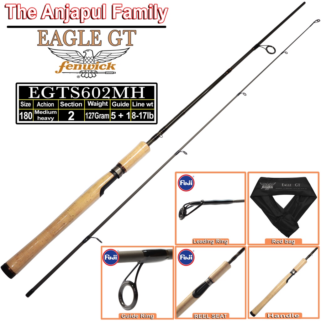 ROD FENWICK EAGLE GT EGTS 602