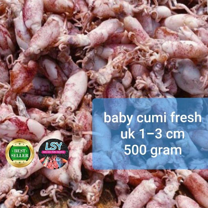 

➵ ikan asin baby cumi / cumi rebus 78 berat 500gram ♗