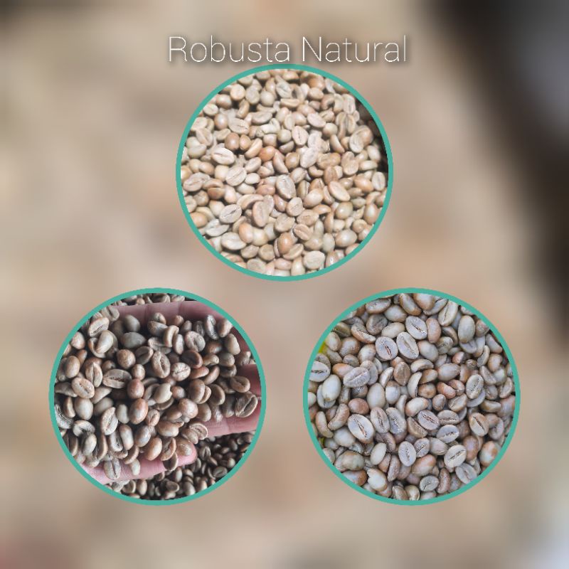 

Biji Kopi Robusta Spesialty FullMerah 1kg