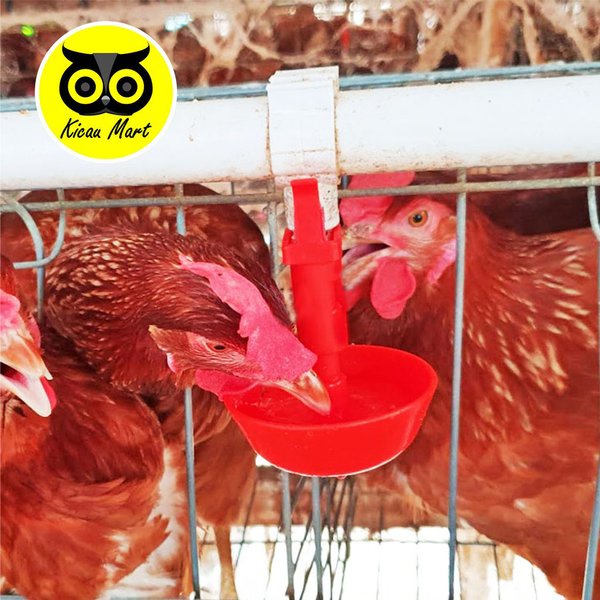 Nipple Nipel Tempat Makan Minum Ternak Ayam Mangkok Bulat Gantung Cangkir Minum Otomatis Anak Ayam Bebek Itik Puyuh Unggas Nippel Niple Drinker