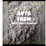 media tanam strawberry siap pakai 5kg