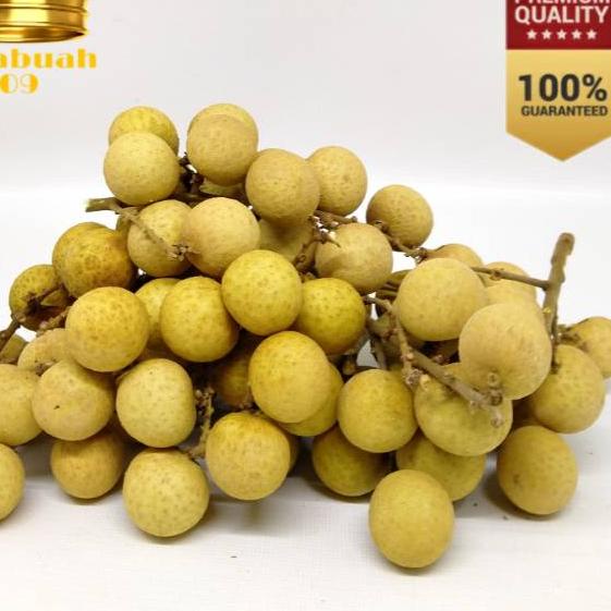

✨STAR✨ Buah Kelengkeng 500 Gram / Kelengkeng Manis Fresh !