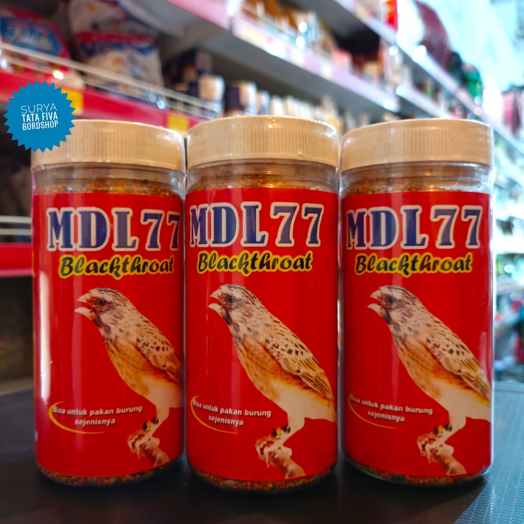 MDL 77 BLACKTHROAT PAKAN PENGGACOR HARIAN DAN BREEDING BURUNG BLACKTHROAT DAN SEJENISNYA