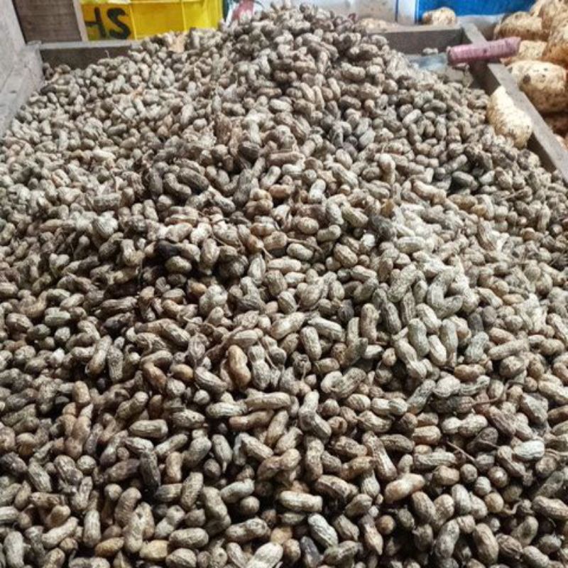 

Kacang Tanah 500g