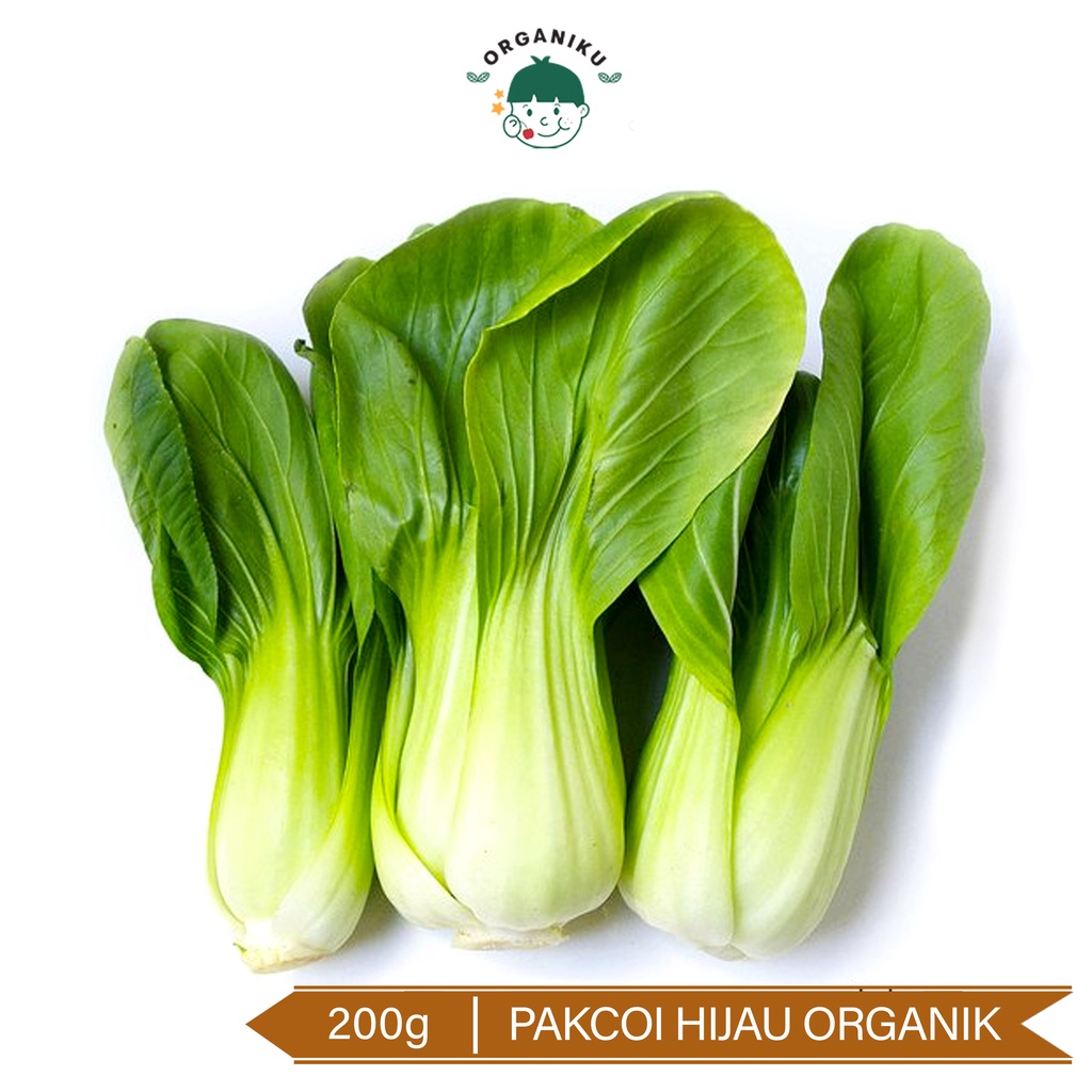 Pakcoi Hijau Organik 200gr/ Organic Green Bokcoy 200gr