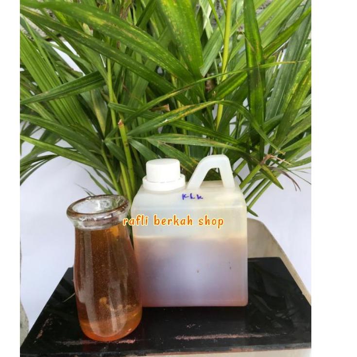 

《packingaman》 Madu asli nektar bunga kelengkeng multi 500 gR MADU