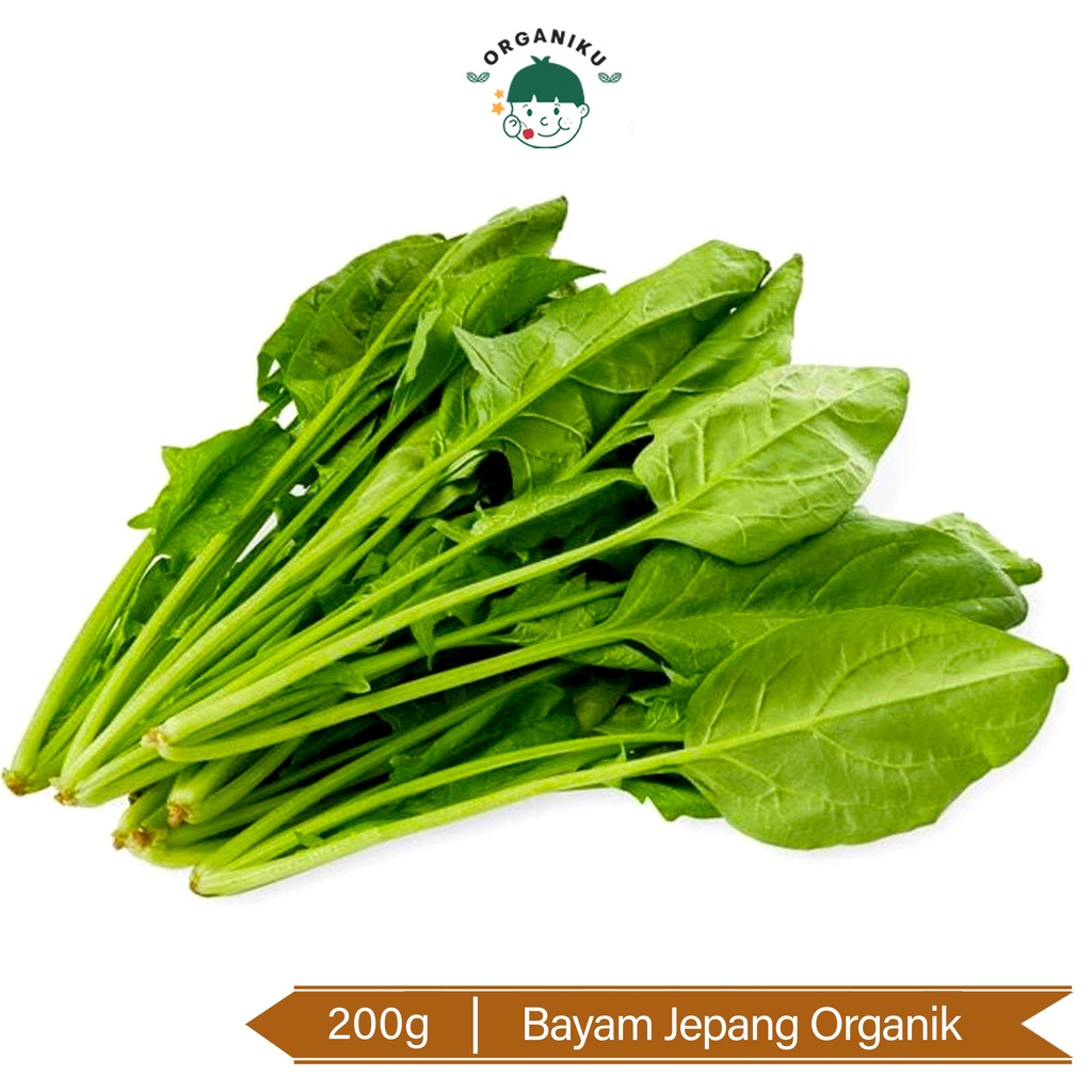 Horenso Organik 200g/ Organic Japanese Spinach / Baby Spinach 200g / Pocai/ Poling / Bayam Jepang