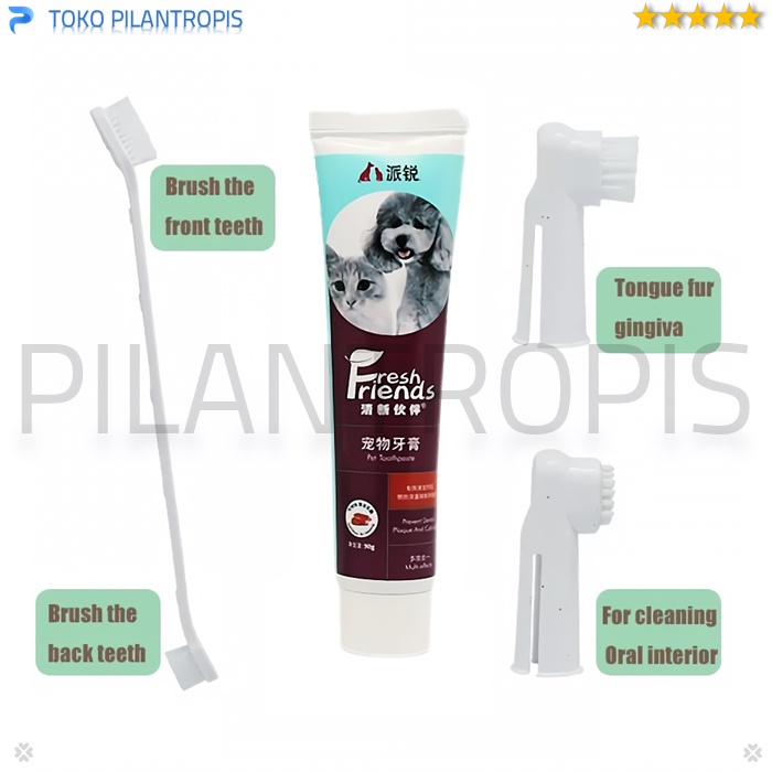 SIKAT GIGI KUCING DAN ODOL KUCING ANJING PASTA GIGI KUCING ANJING 1 SET PET TOOTHBRUSH DENTAL GEL