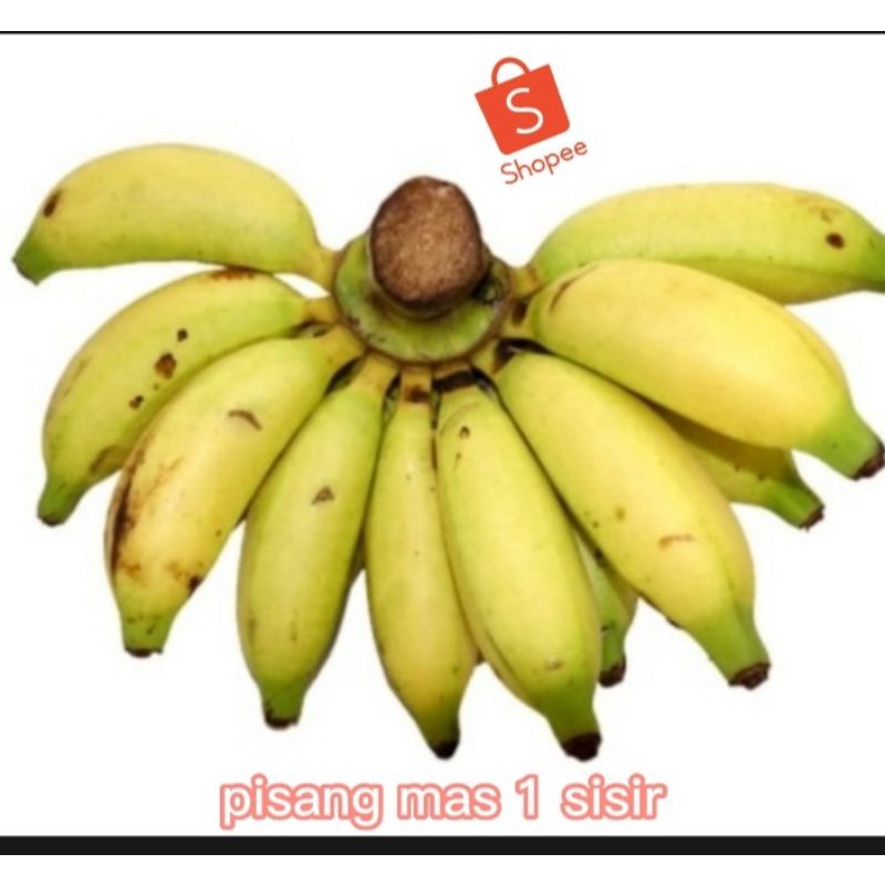 

PISANG MAS ,ASLI BANYUMAS JUAL 3 siir