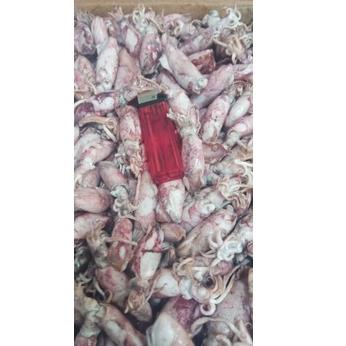 

♀ PROMO Cumi Asin beby 1kg/beby cumi asin /cumi asin rebus kecil ♠
