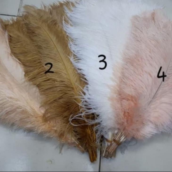 ➫ Bulu Dekorasi Ostrich uk. 50-55 cm ✤