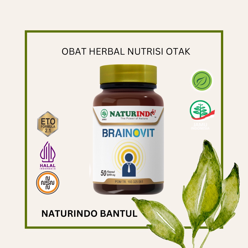 Naturindo Obat Herbal Brainovit Nutrisi Otak