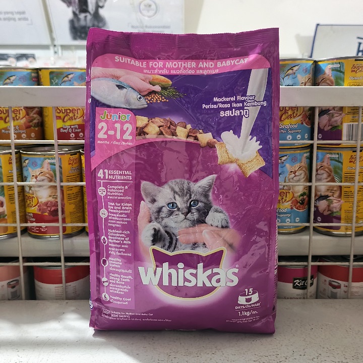 Makanan Kucing Whiskas Junior Mackerel Flavour Kemasan 1,1KG