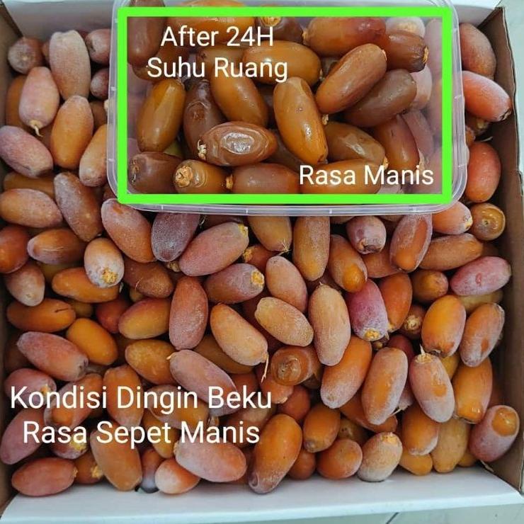 

♦ kurma muda ruthob libya 1kg premium ♪