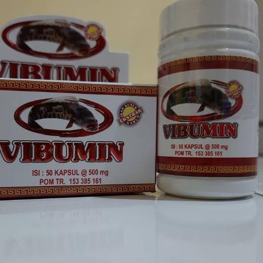 ♦ Vibumin / Ekstrak Ikan Gabus ✧