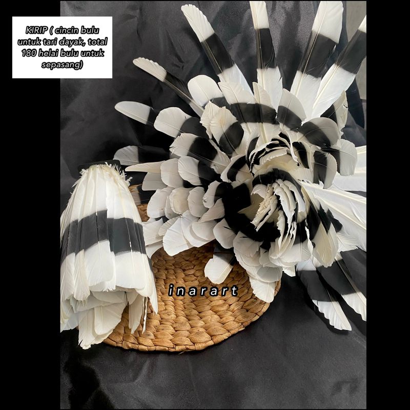 KIRIP / CINCIN BULU TARI DAYAK