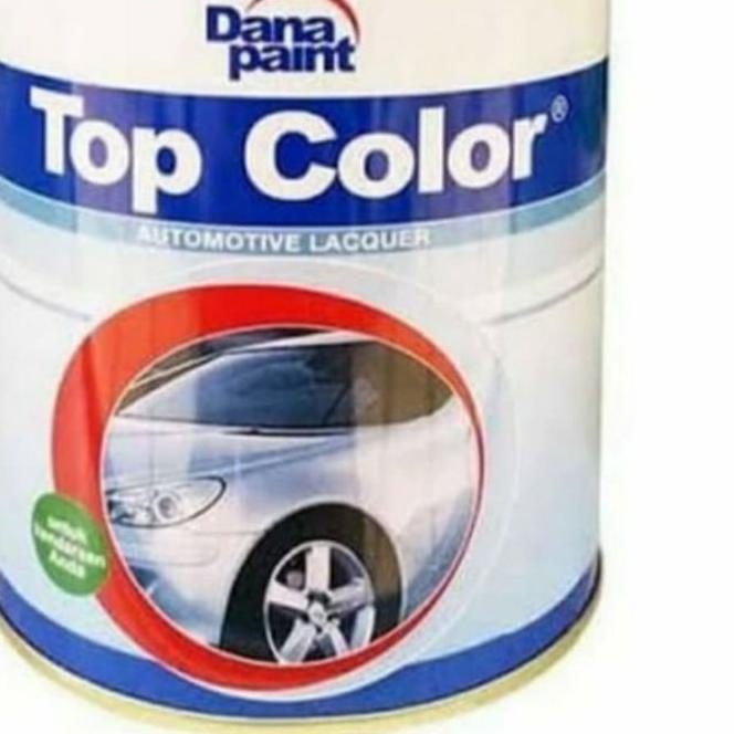 ♦ danapaint top color  kg ✶