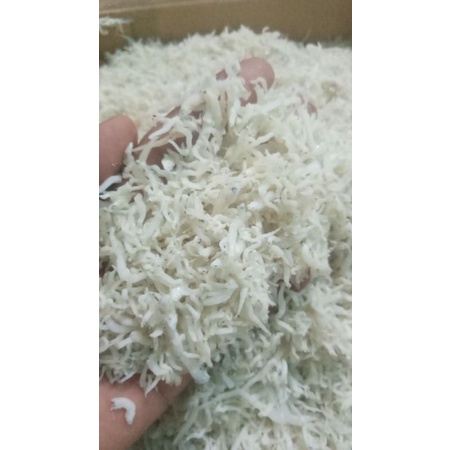 

ikan teri medan size s (500 gr)