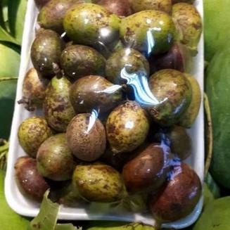 

HOT Product Buah Matoa / Rambutan Papua Rasa Manis Segar Nikmat 