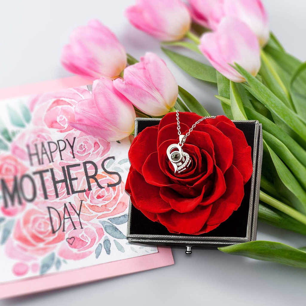 【hadiah terbaik】Diawetkan Mawar Preserved Red Real Rose dengan Kalung I Love You 925 Sterling Silver Kalung dalam 100 Bahasa kalung proyeksi Hadiah Paket Hadiah Set