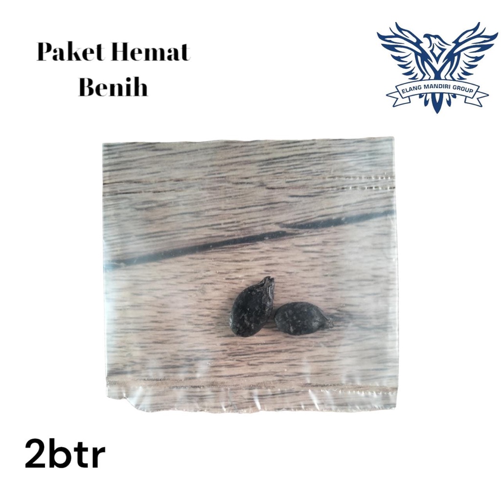 Repack 2000an Benih HANOMAN F1 2 Butir SUPER HEMAT Oyong Gambas Unggul Bintang Asia