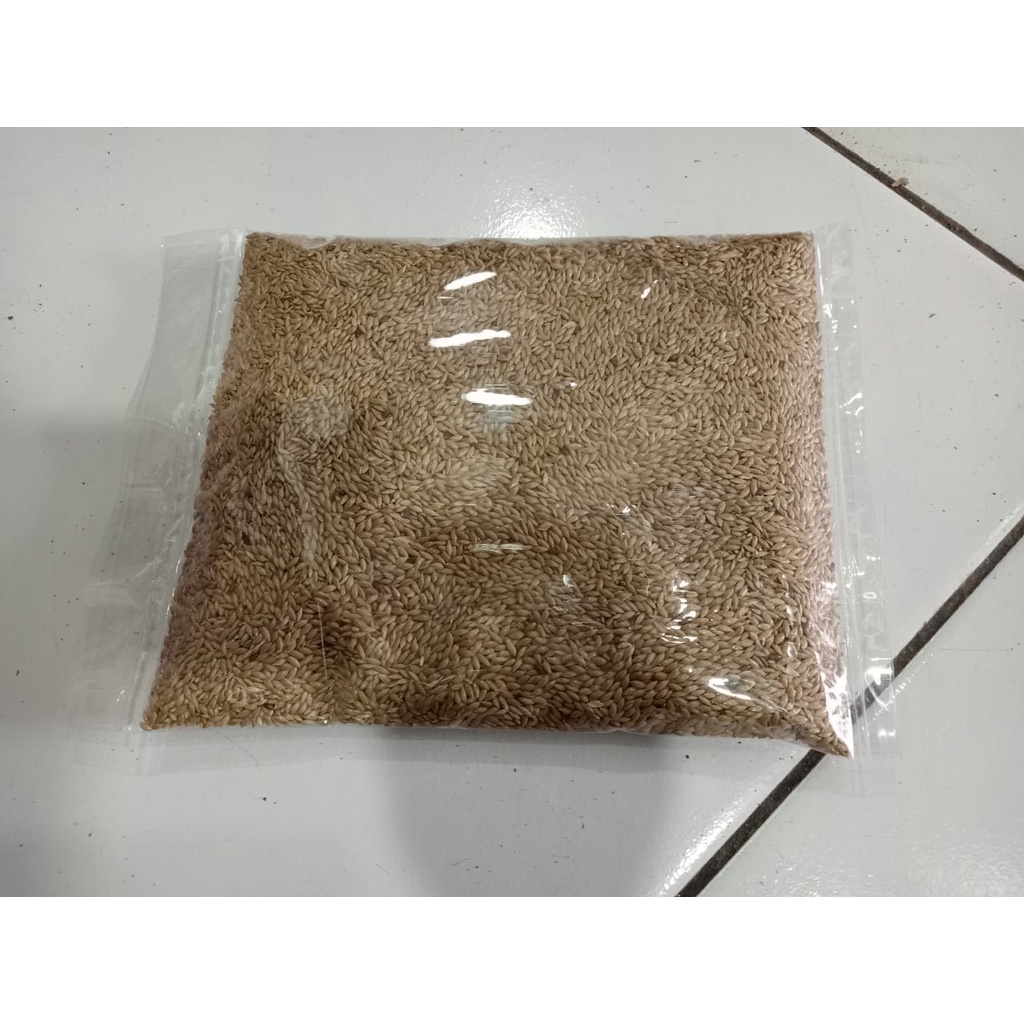Canary Seed, Kenari Seed, Kenari Seed Bersih Berkualitas, Pakan Harian Kenari 500gram