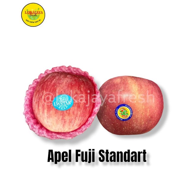 

[terlaris] Apel Fuji Manis 1 Bungkus / Pack Ukuran Sedang