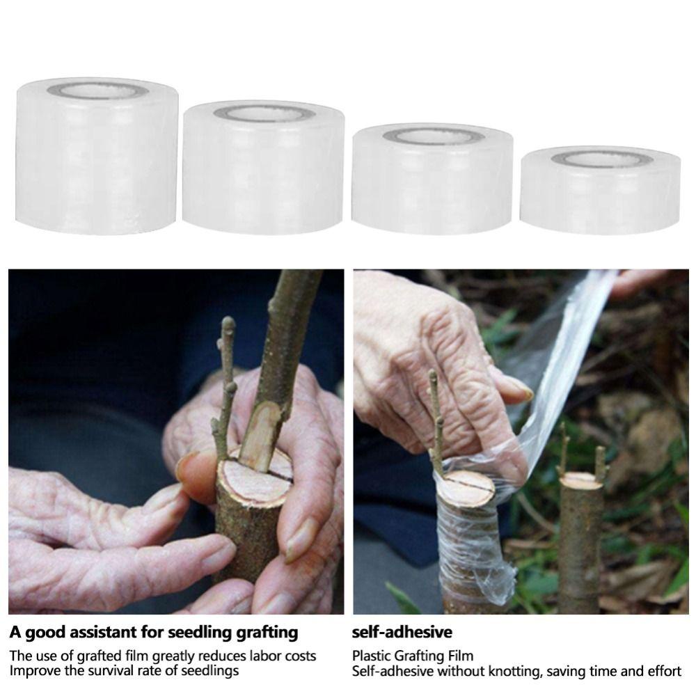 Agustinina Grafting Tape Portable Ramah Lingkungan Taman Untuk Reparasi Seedle Stretchable Tree Plants Garden Tools