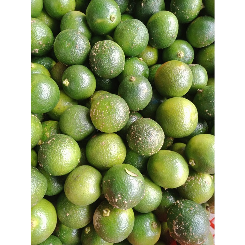 

Jeruk sonkit/ pontianak