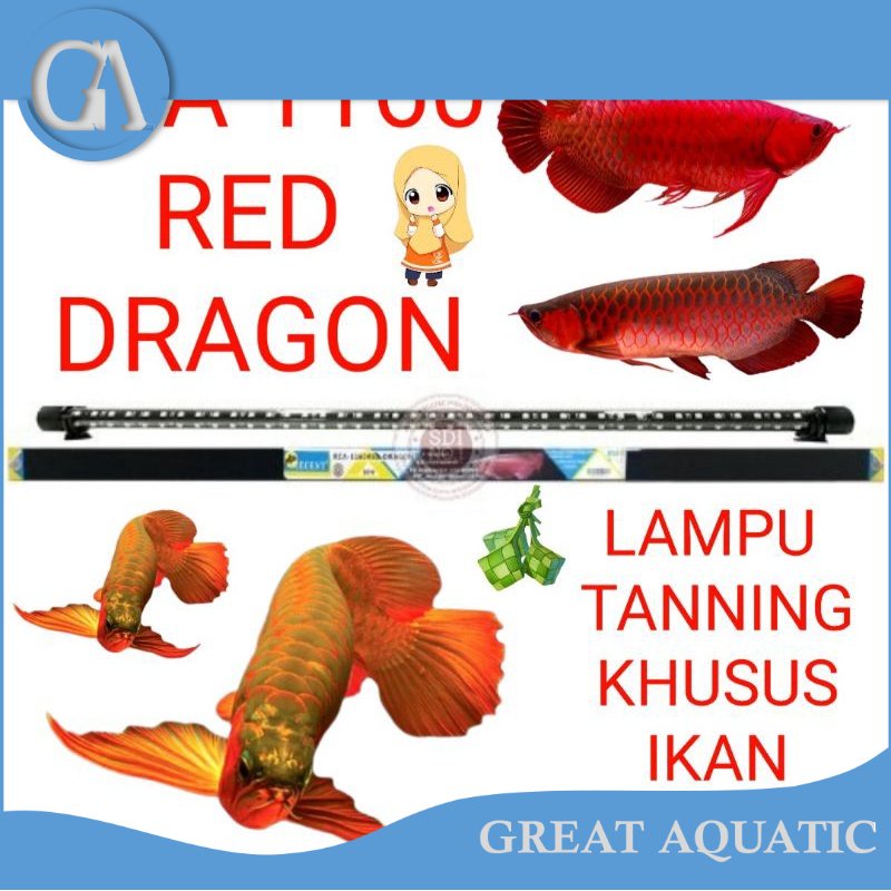 lampu tanning aquarium lampu khusus ikan arwana RCA 1160 RED DRAGON RECENT