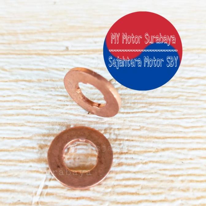 TERLARIS Seal Oring Injector Chevrolet Captiva Diesel C100 NFL / Spin Diesel ,