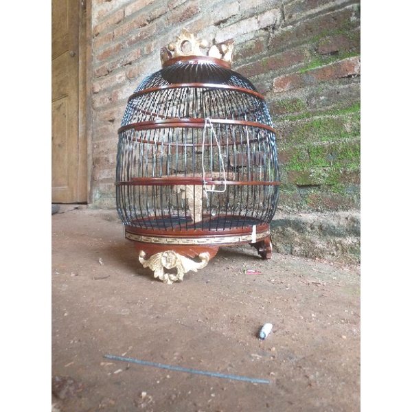 sangkar perkutut minion kayu jati