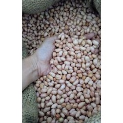 

KACANG KHAS TUBAN 1kg