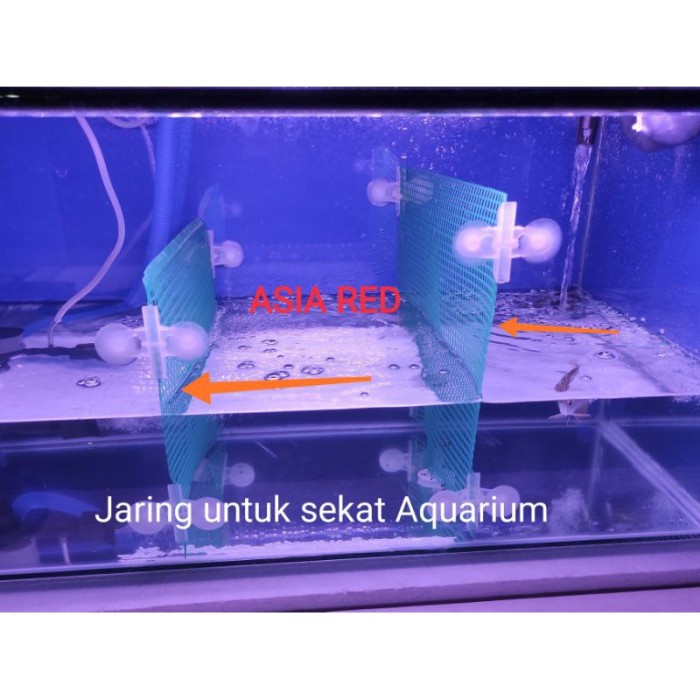 Gunting Kuku Termurah Jaring Sekat Aquarium, Jaring Ikan Discus, Cupang/Jaring