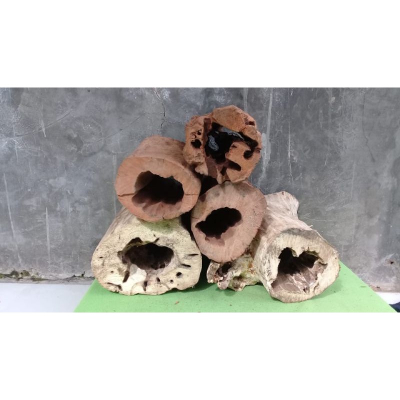 Hiding cave (tempat sembunyi hewan) kayu kopi dan raksamala