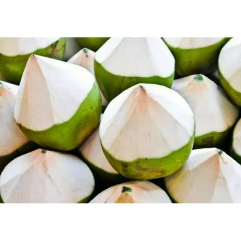 

Buah kelapa Muda 1bh