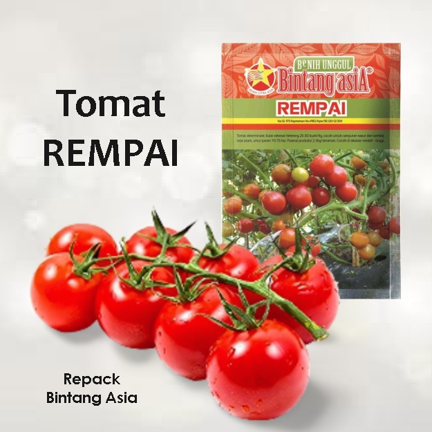 Benih Tomat REMPAI - Repack Bintang Asia