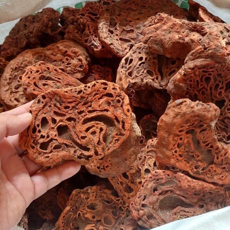 

F36 Sarang Semut Papua Asli 500gr READY STOCK ➸