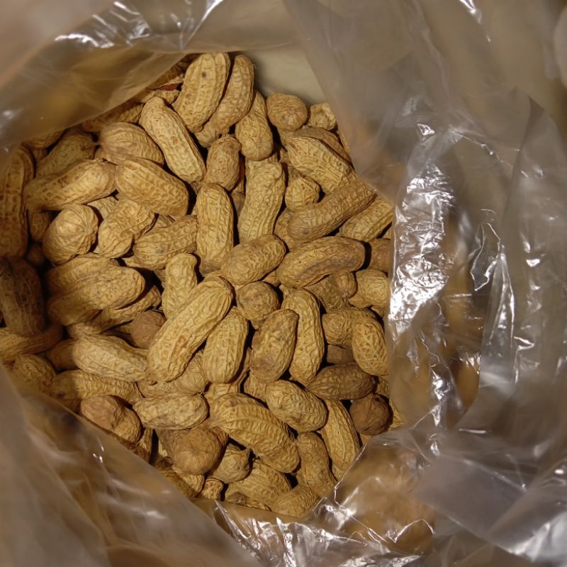 

kacang sangrai perliter