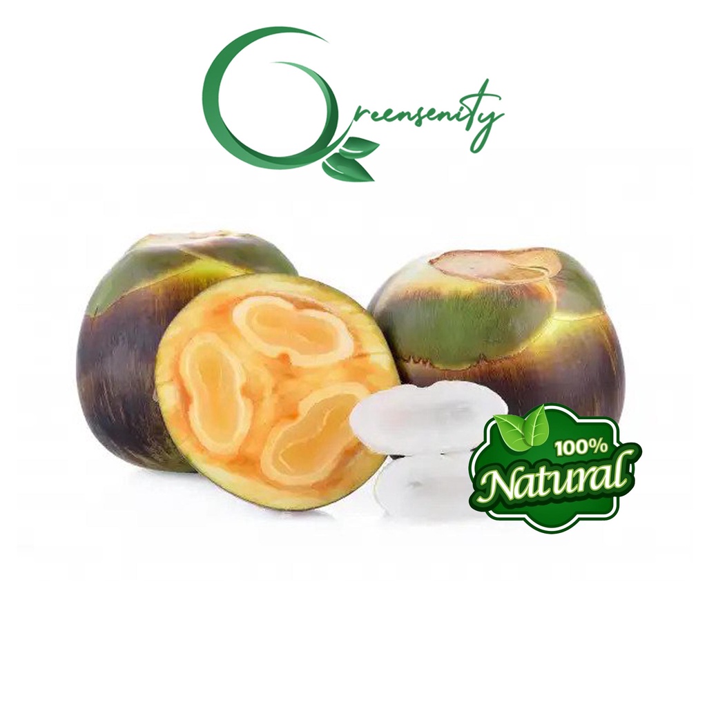 Buah Lontar /Siwalan Khas Tuban kualitas terbaik (isi 3 buah)