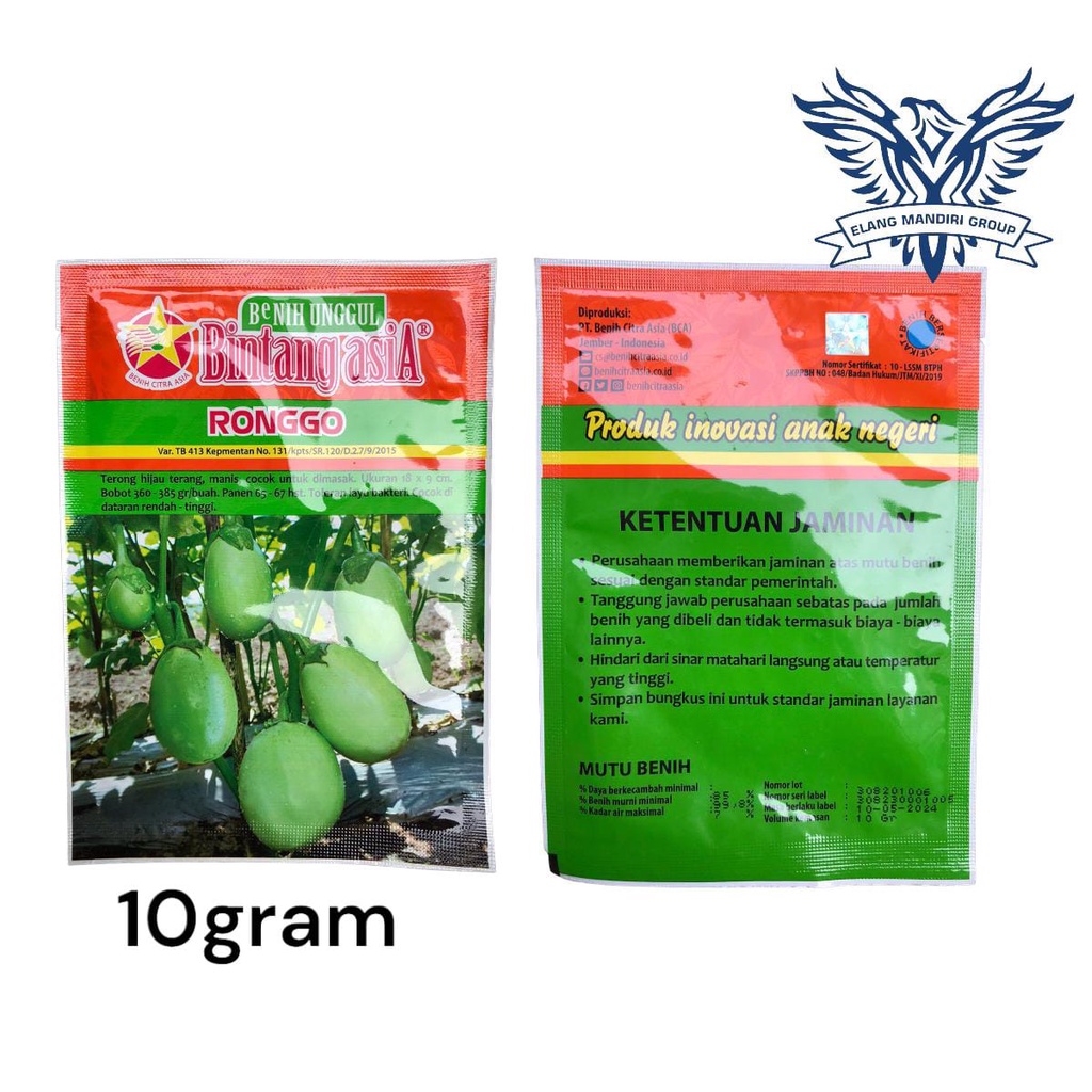 Benih TERONG HIJAU BULAT RONGGO 10 Gr / benih sayuran/ bibit sayuran