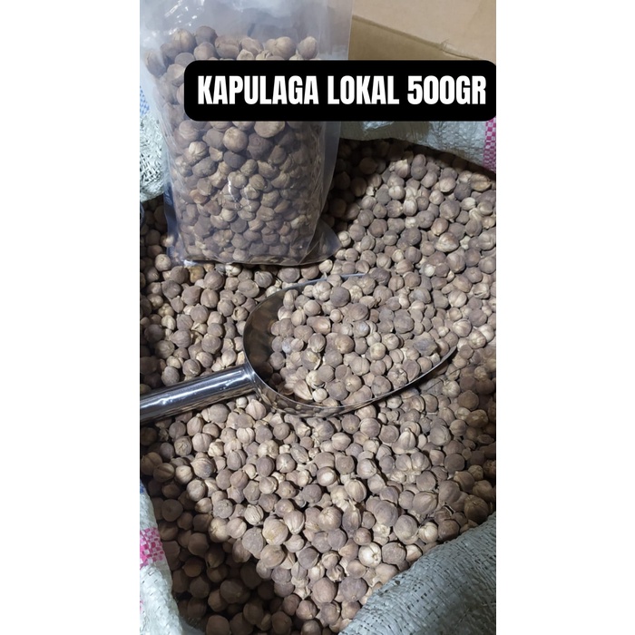 

KAPULAGA 500gram SEGAR LOKAL kualitas bagus