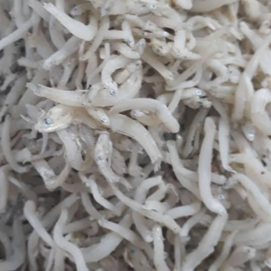 

☏ Ikan Teri Nasi Toge Medan Super 250gr ♥