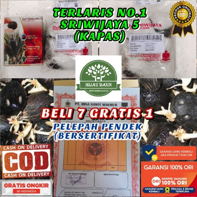 DXP SRIWIJAYA 5/SJ-5 ASLI UNGGUL (BERSERTIFIKAT)