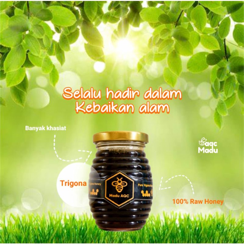 

Madu AQC Trigona | Madu Klanceng Murni 160ml